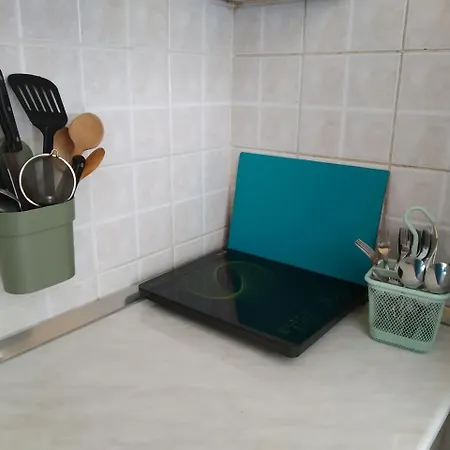 Flower Square Belgrado